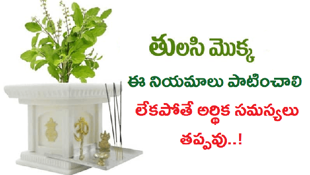 TULASI MOKKA VASTHU