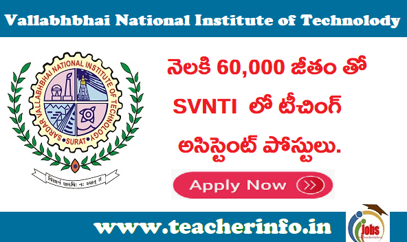svnti teaching assistant jobs