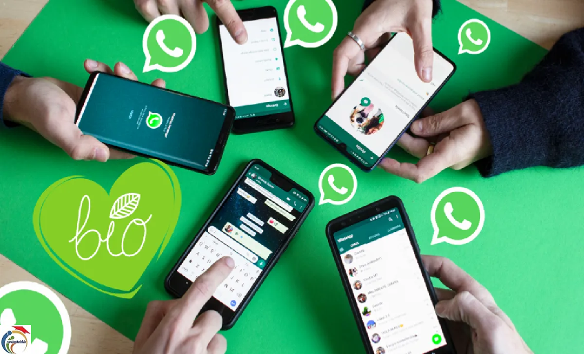 Whatsapp.png