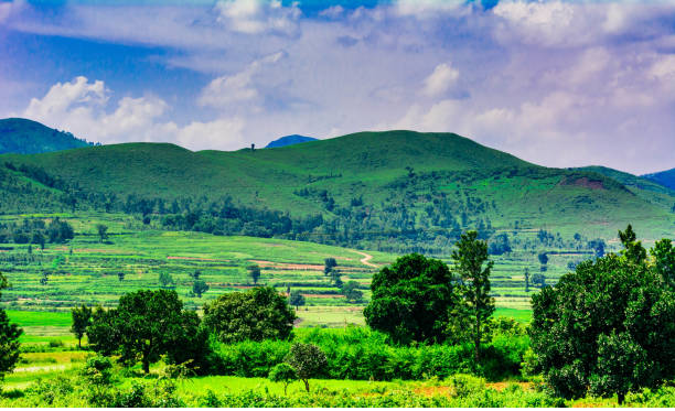 araku.png