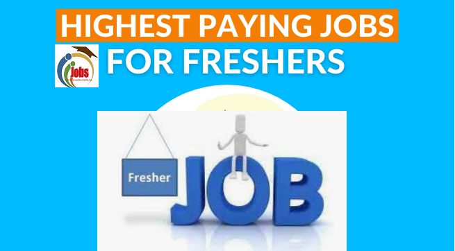 freshers jobs