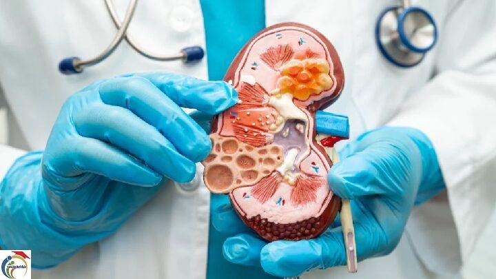 kidney fial symptoms