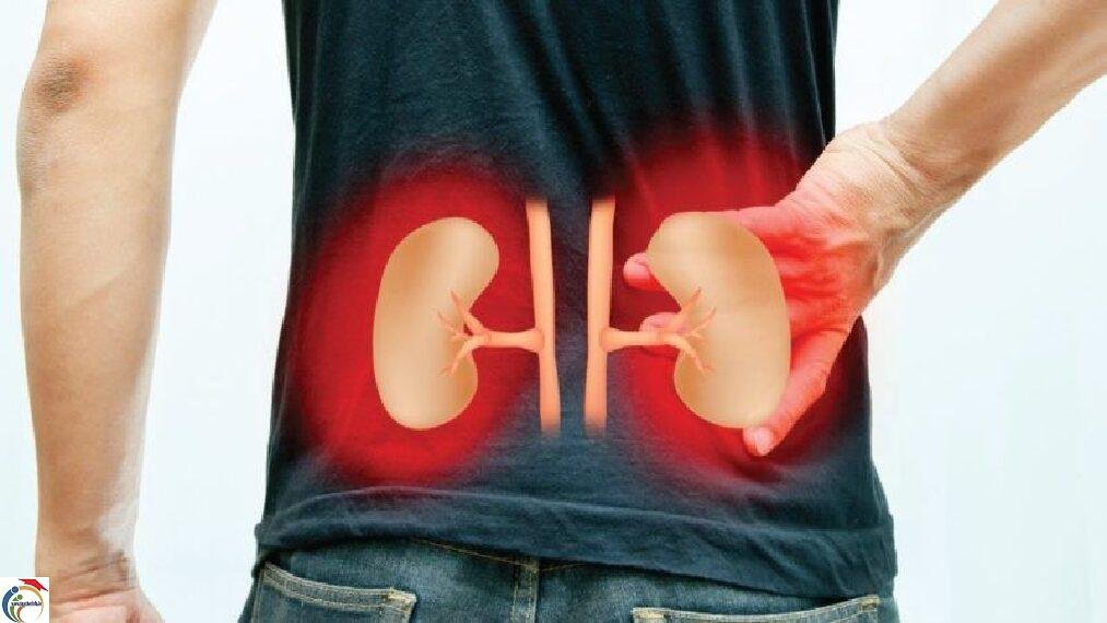 foods for kidneys