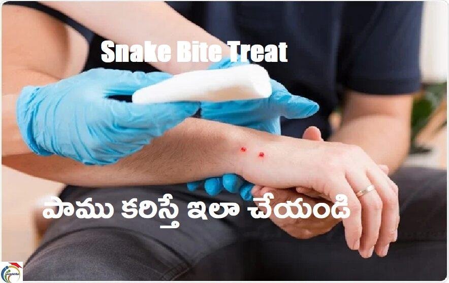 snake bite treatment