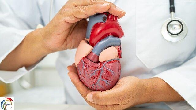 Heart Beat
