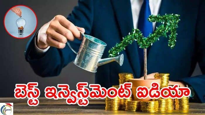 Rs. 10 lakhs, what should you invest in