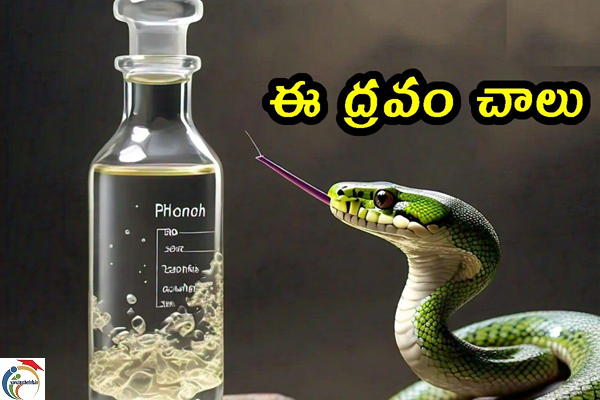 Snakes-1.png