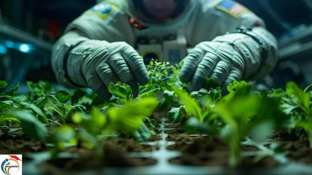 Space-Farming.png