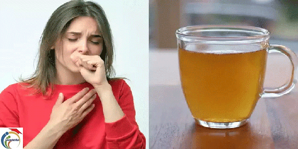 Tea-and-its-preparation-method.png