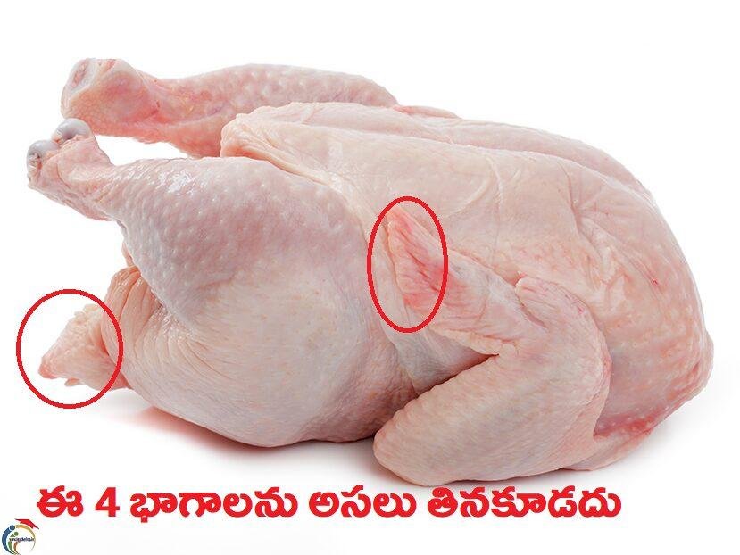chicken