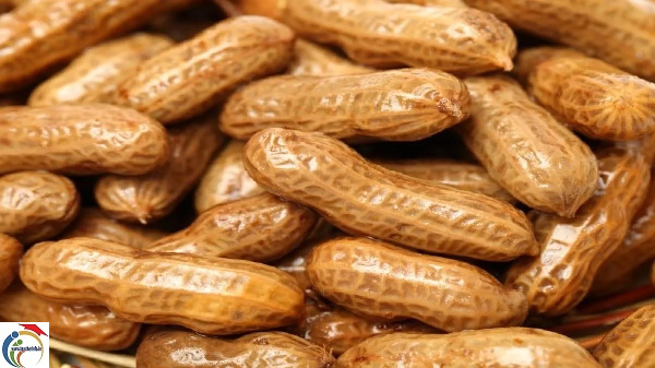 eat-boiled-peanuts.png