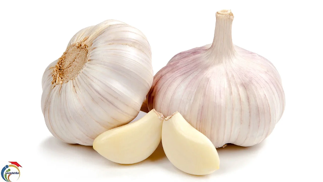 garlic.png