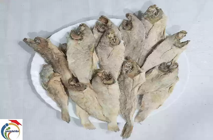 dried fish