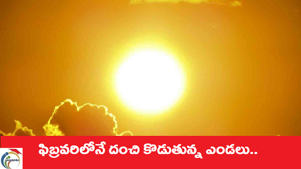 summer heavy heat wave