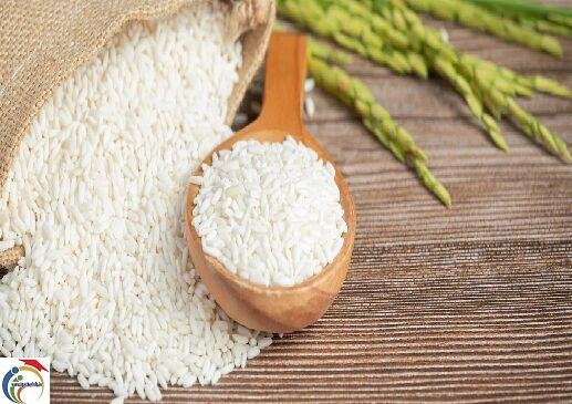 rice 3
