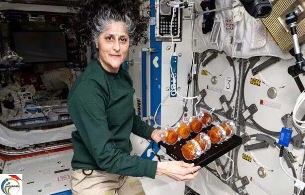 zero gravity food sunitha williams food in space