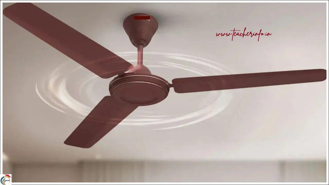 fan