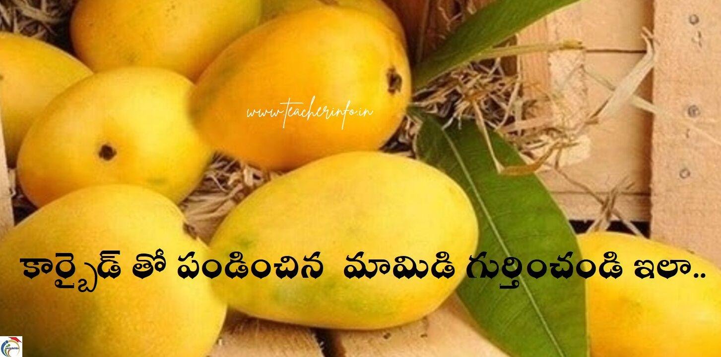mangos artificial ripened