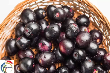 Jamun