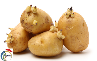 potatoes 3