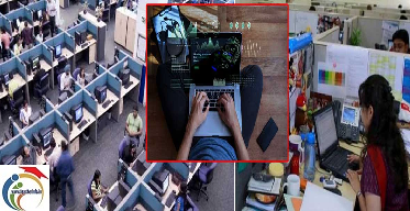 IT employees