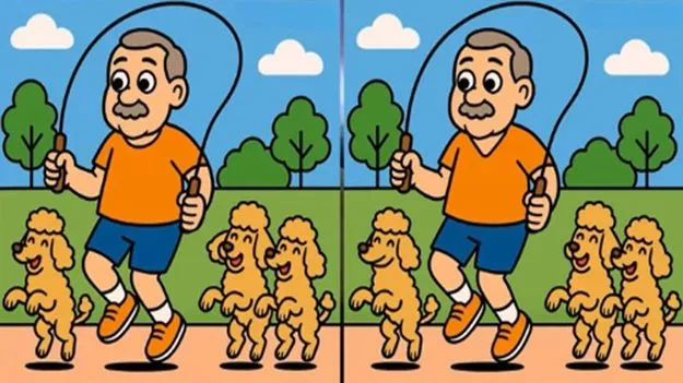 puzzle3_2223124f77_V_jpg--625x351-4g