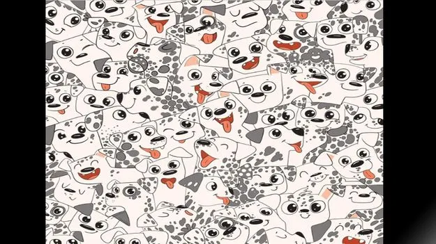 puzzle_8414d23fa6_V_jpg--625x351-4g